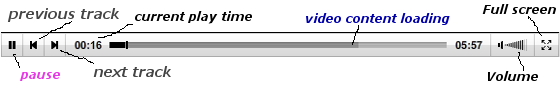 videoPlayer